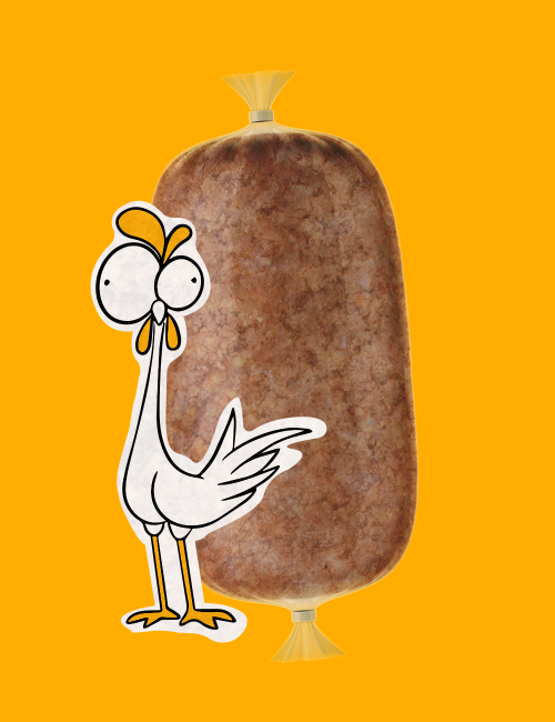 Plato de Pollo Cocinado - Comida Natural para tu Gato