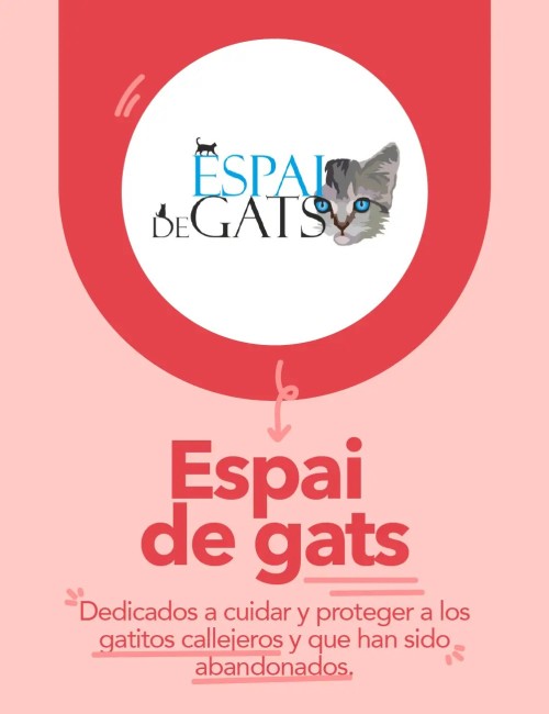 Espai de Gats