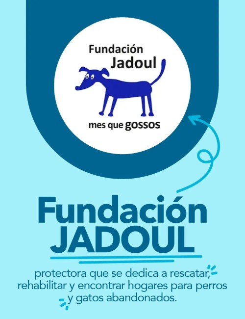 JADOUL VALENCIA