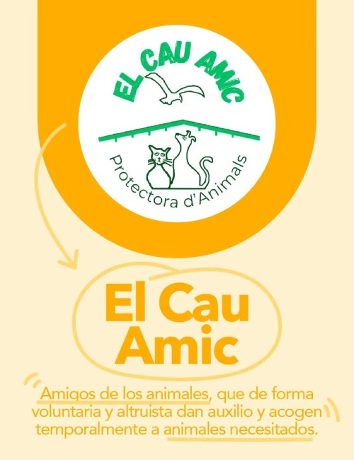 CAU AMIC