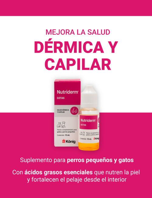 KONIG NUTRIDERM GOTAS 15ML