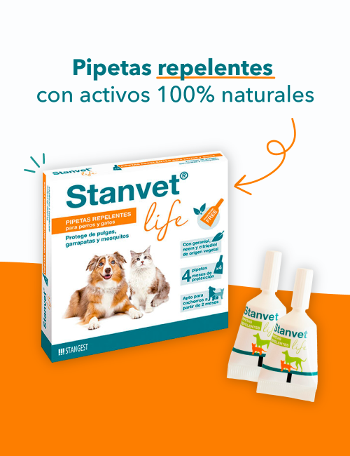 STANGEST STANVET LIFE 4PIP