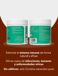 DRGREEN FUNGOGREEN CORIOLUS VERSICOLOR 85G