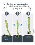 HUNTER GANCHO PARA GARRAPATAS PLASTICO