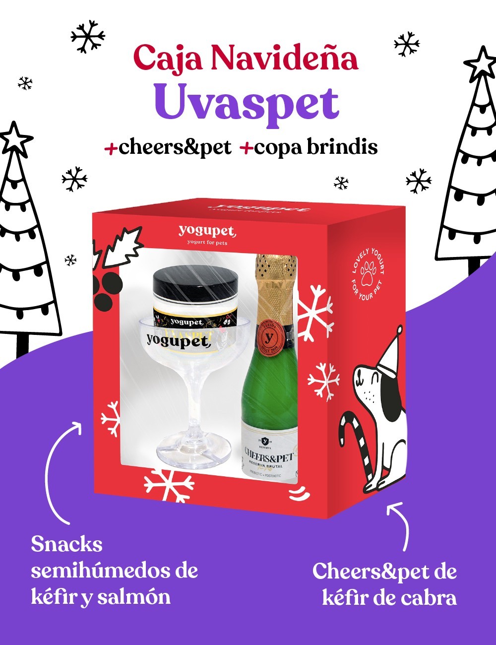 YOGUPET BOX VII