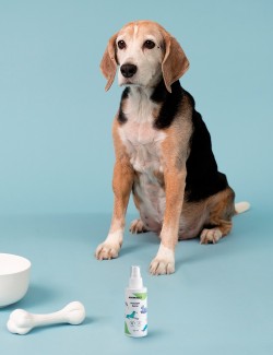 Relaxpet  Spray 125ML