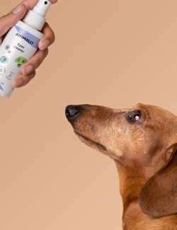 Eyes cleaner 125 ml