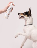 Insect Repellent Spray 250 ml