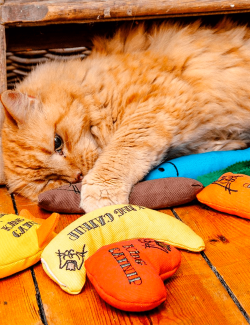 KING CATNIP Juguete Banana para gatos con hierba gatera