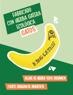 KING CATNIP Juguete Banana para gatos con hierba gatera