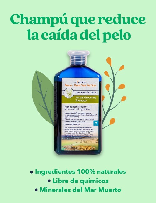 ARAVA CHAMPÚ ANTICAÍDA PARA PERROS 400ML