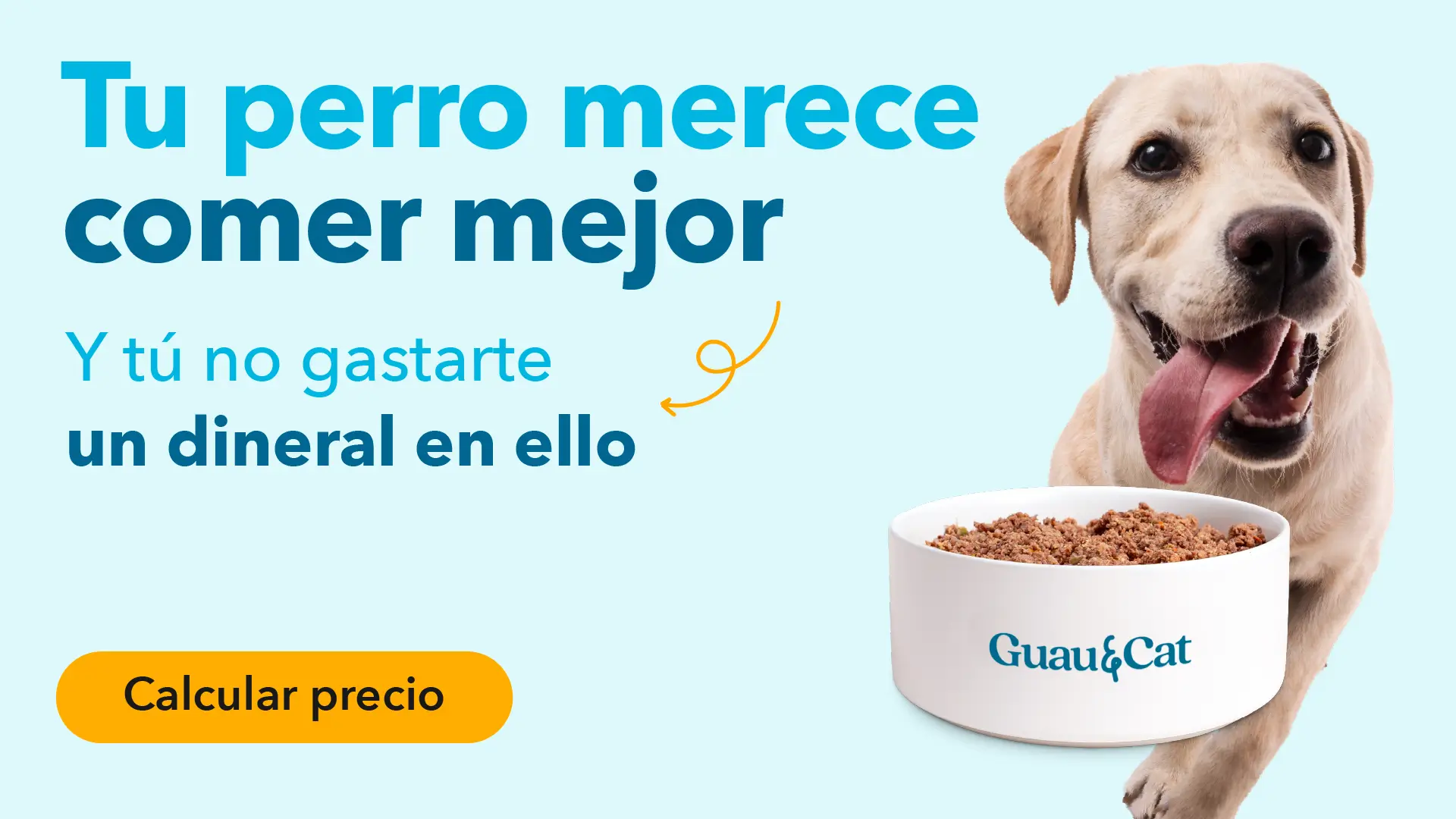 BANNERS-BLOG-2.webp