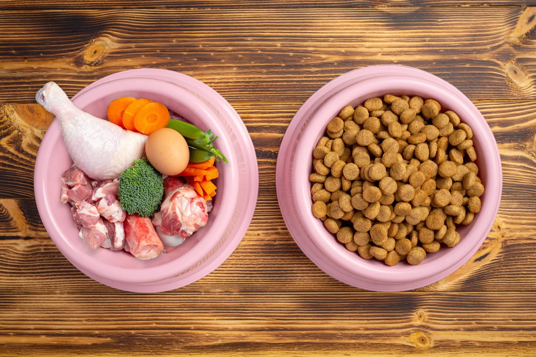 pienso_vs_comida_natural.webp