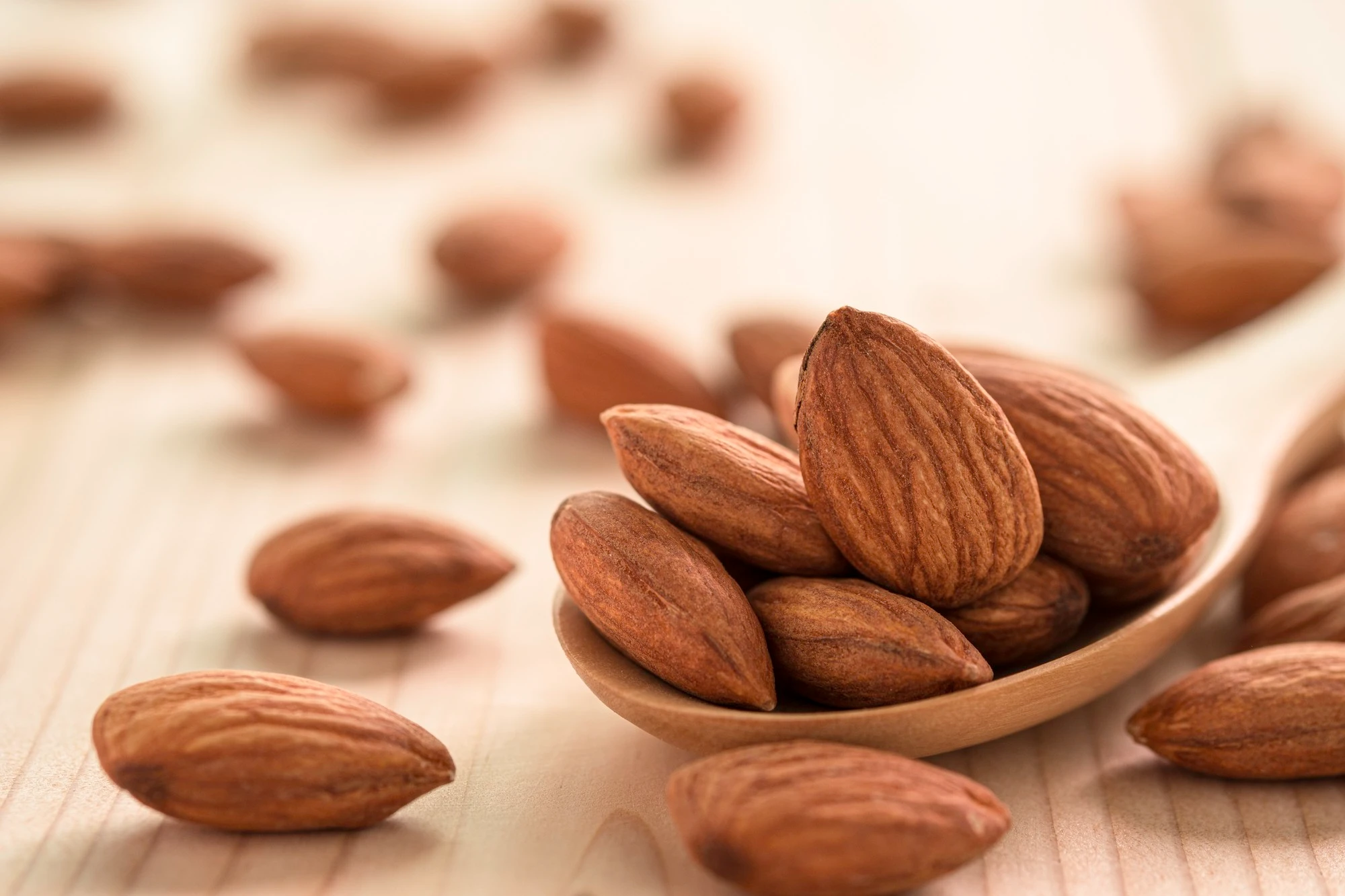 almendras%20para%20perros.webp