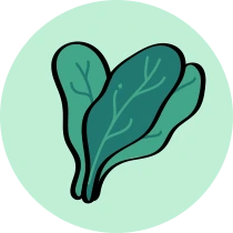 Espinacas